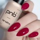 Гел лак PNB 8 мл 209